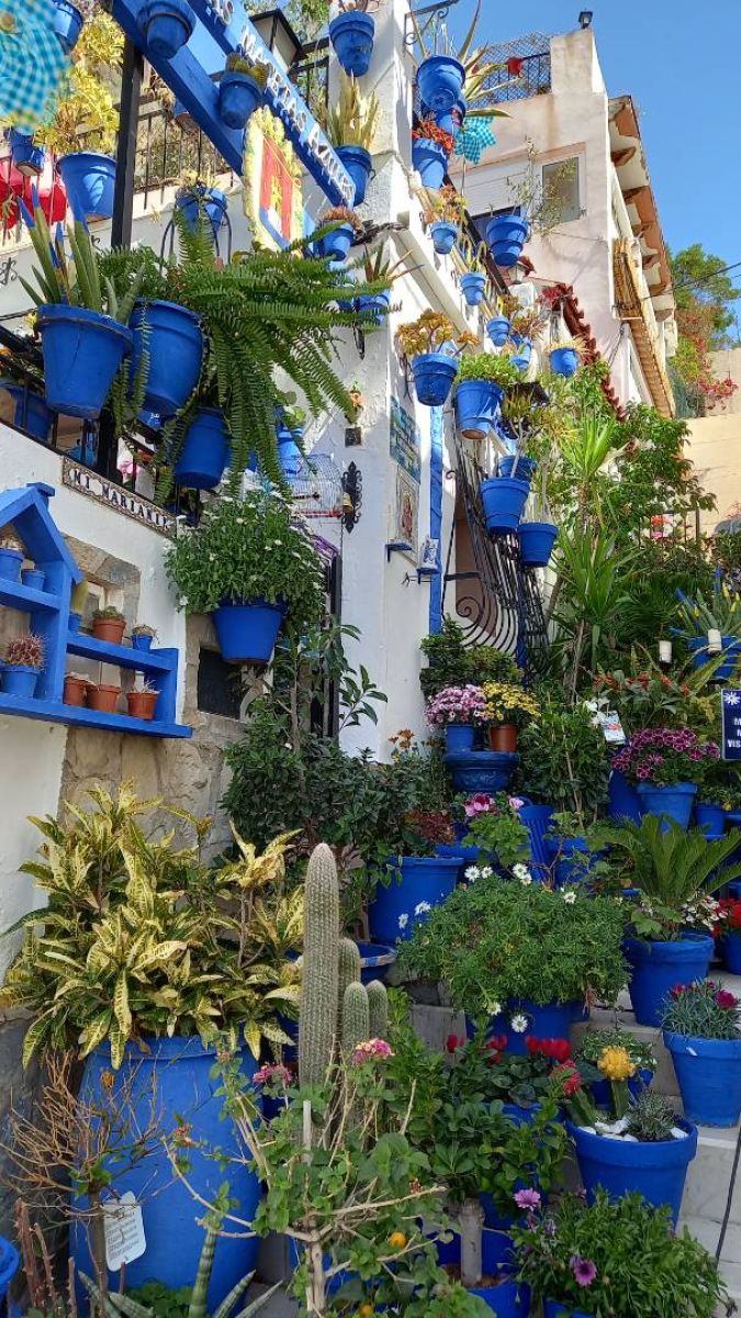 Ausflugsfoto - in Alicante - Spanien - Mittelmeer - Kreuzfahrt mit AIDAcosma - 2026