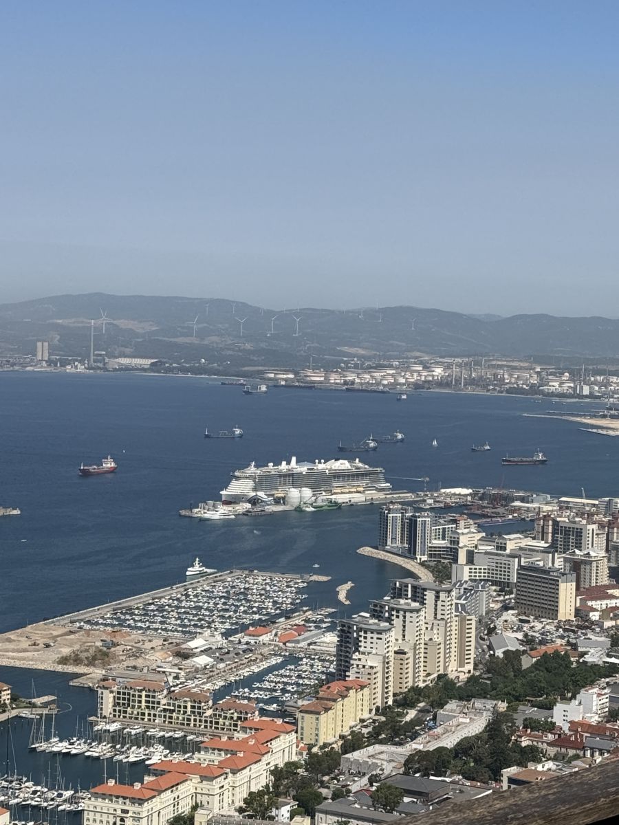 Ausflugsfoto - in Gibraltar - Vereinigtes Königreich - Mittelmeer - Kreuzfahrt mit AIDAcosma - 2026 - Bild 2