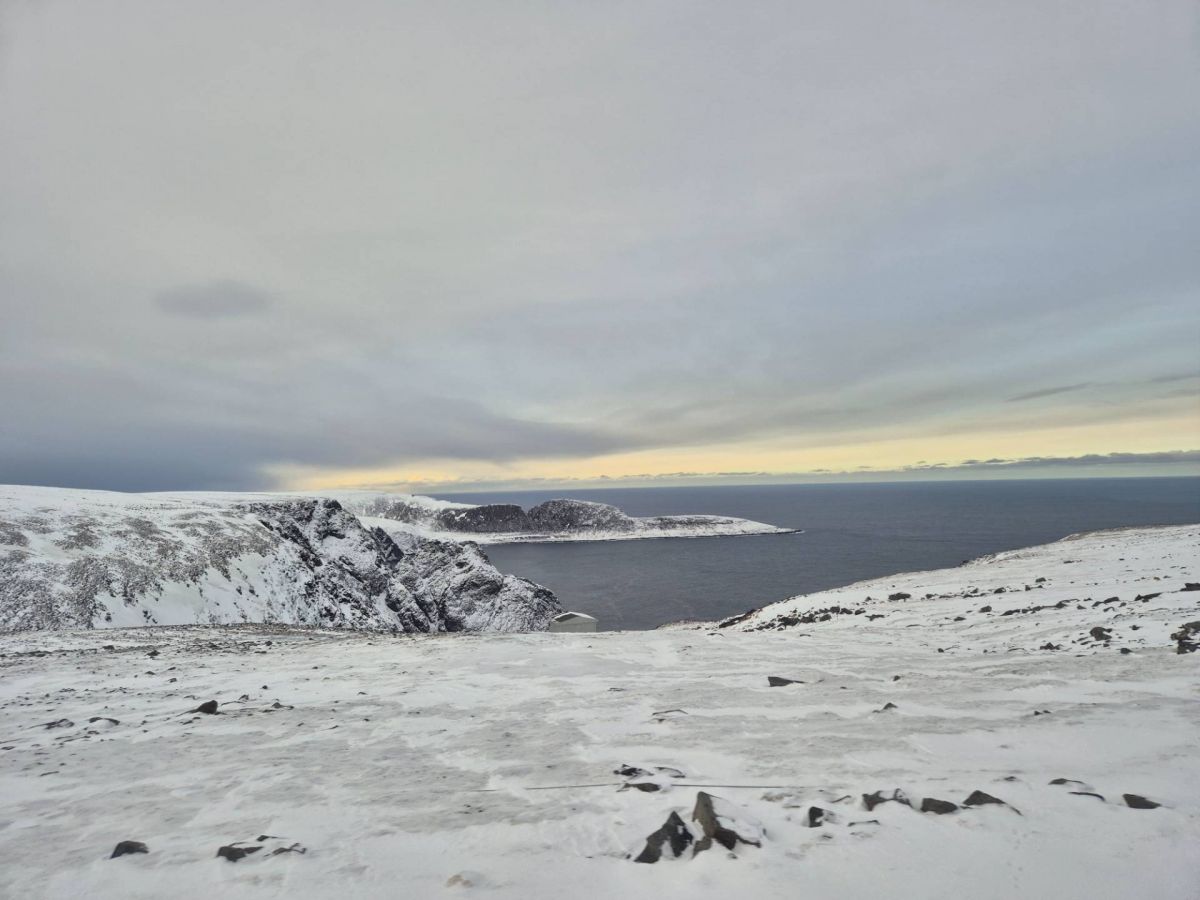 Ausflugsfoto - in Honningsvåg (Nordkap) - Norwegen - Nordeuropa - Kreuzfahrt mit AIDAsol - 2025 - Bild 2
