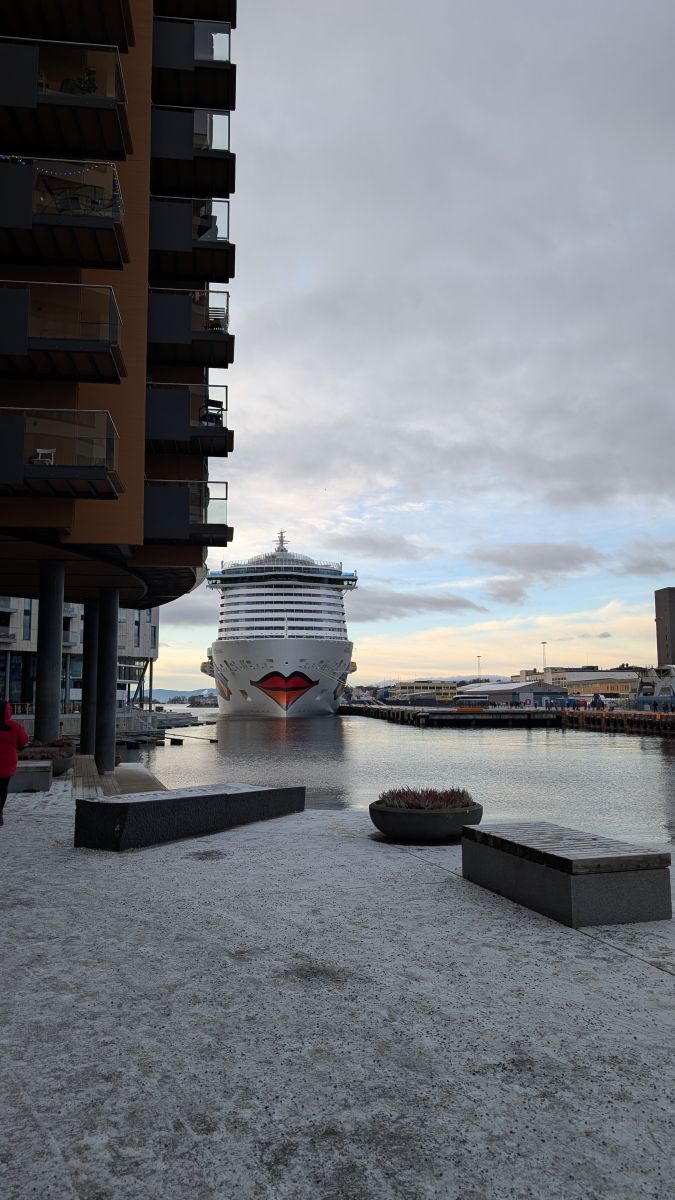 Ausflugsfoto - in Oslo - Norwegen - Nordeuropa - Kreuzfahrt mit AIDAnova - 2025