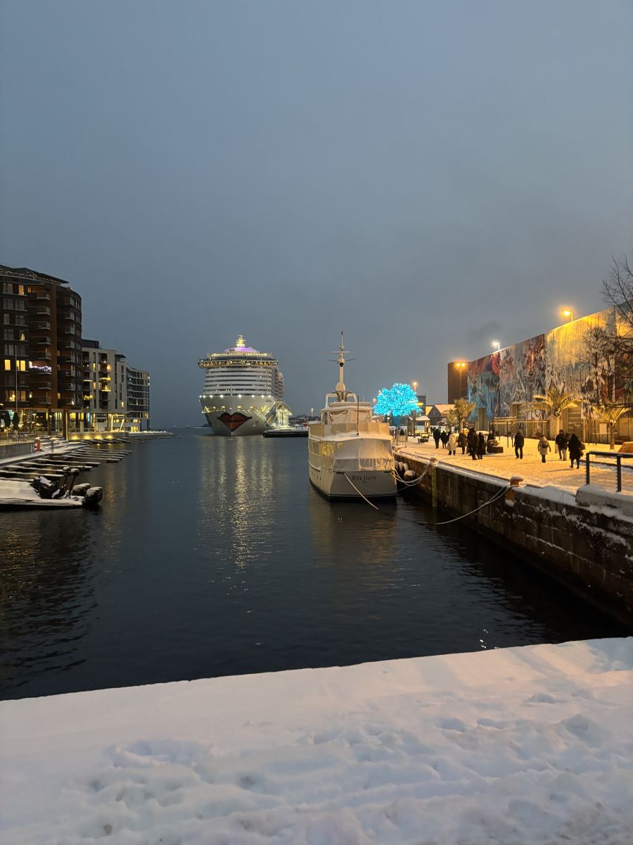 Ausflugsfoto - in Oslo - Norwegen - Nordeuropa - Kreuzfahrt mit AIDAnova - 2026 - Bild 2