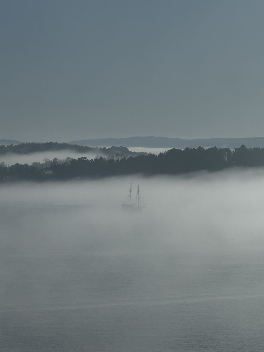 Ausflugsfoto - in Oslo - Norwegen - Nordeuropa - Kreuzfahrt mit AIDAprima - 2026