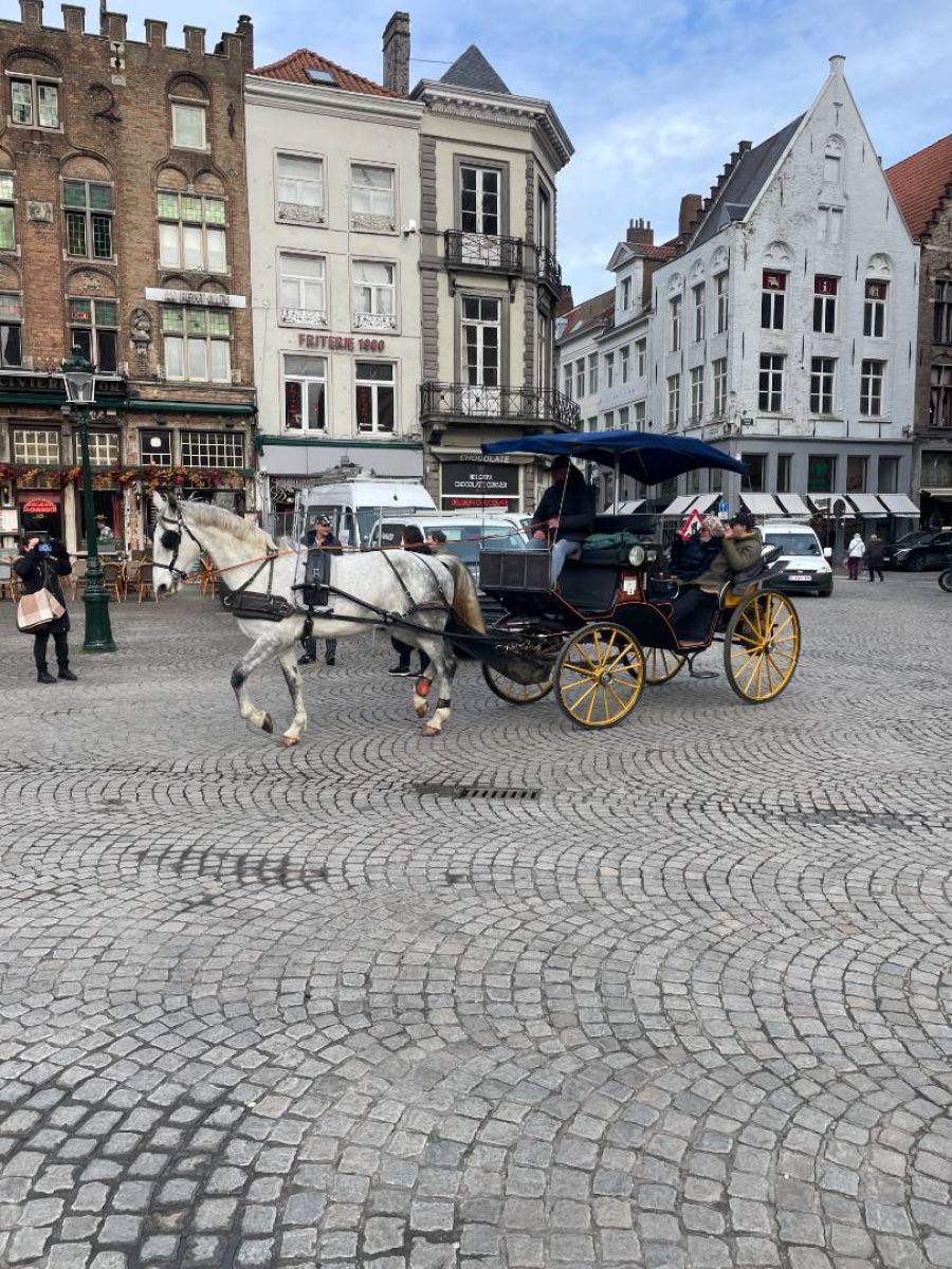 Ausflugsfoto - in Zeebrügge - Belgien - Westeuropa - Kreuzfahrt mit AIDAnova - 2026