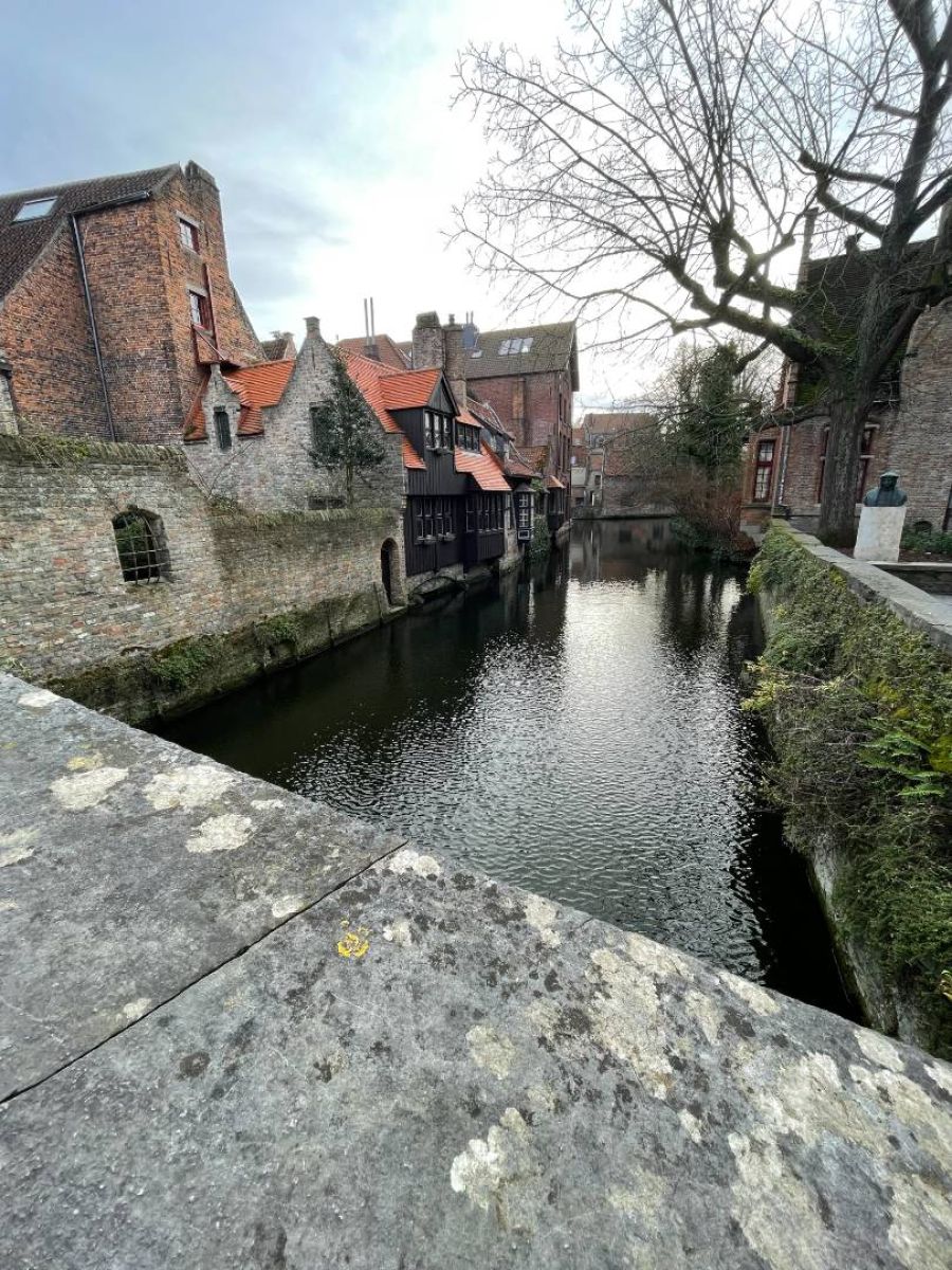 Ausflugsfoto - in Zeebrügge - Belgien - Westeuropa - Kreuzfahrt mit AIDAnova - 2026 - Bild 2