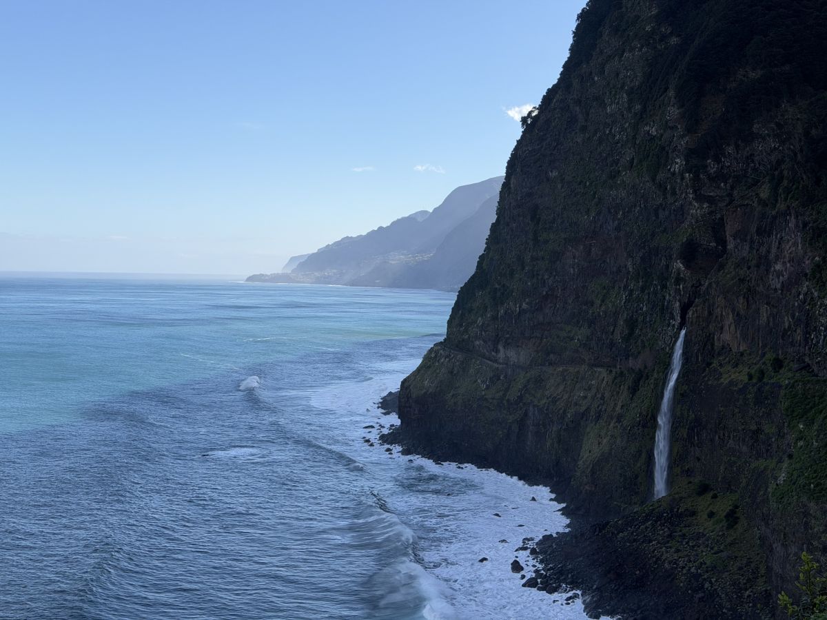 Ausflugsfoto - in Funchal - Madeira - Portugal - Kanaren - Kreuzfahrt mit AIDAcosma - 2026