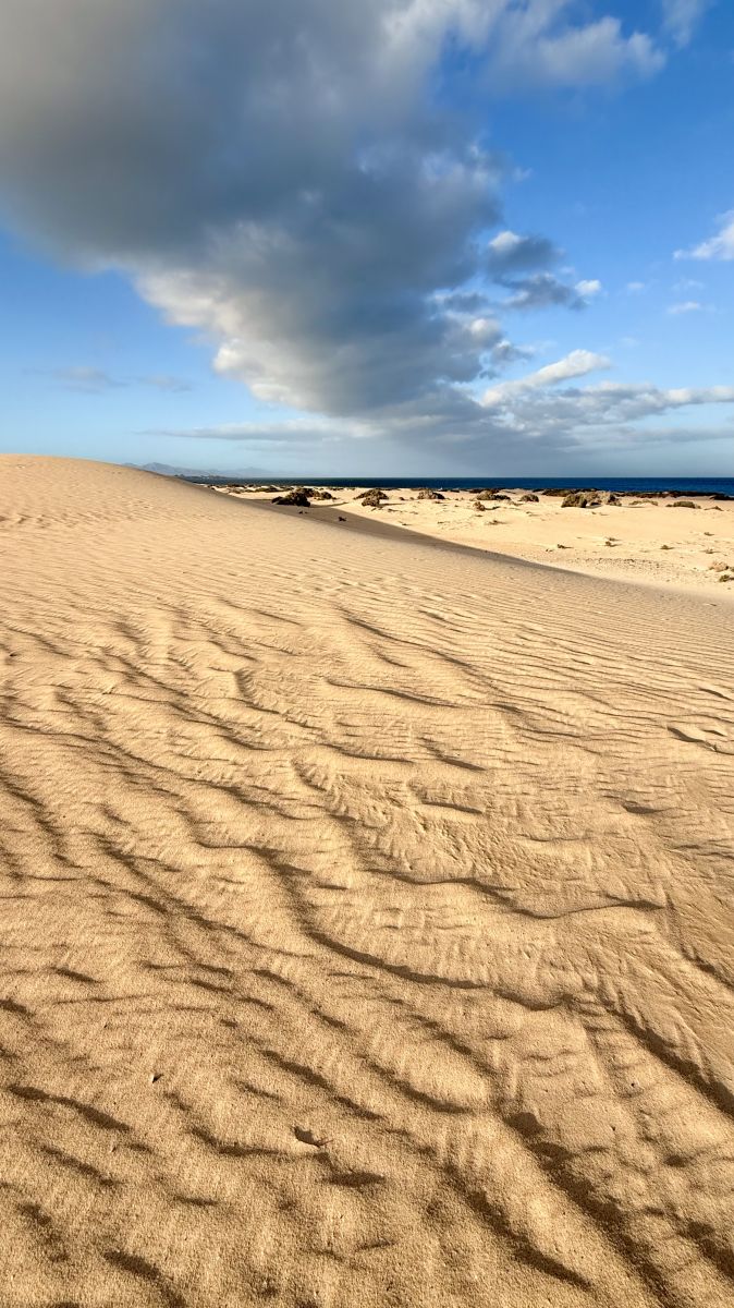 Ausflugsfoto - in Fuerteventura - Spanien - Kanaren - Kreuzfahrt mit AIDAluna - 2026