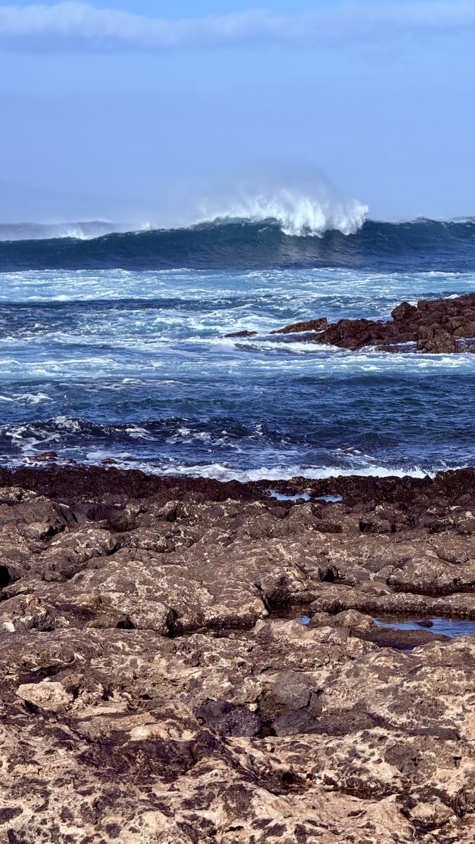 Ausflugsfoto - in Fuerteventura - Spanien - Kanaren - Kreuzfahrt mit AIDAluna - 2026 - Bild 2