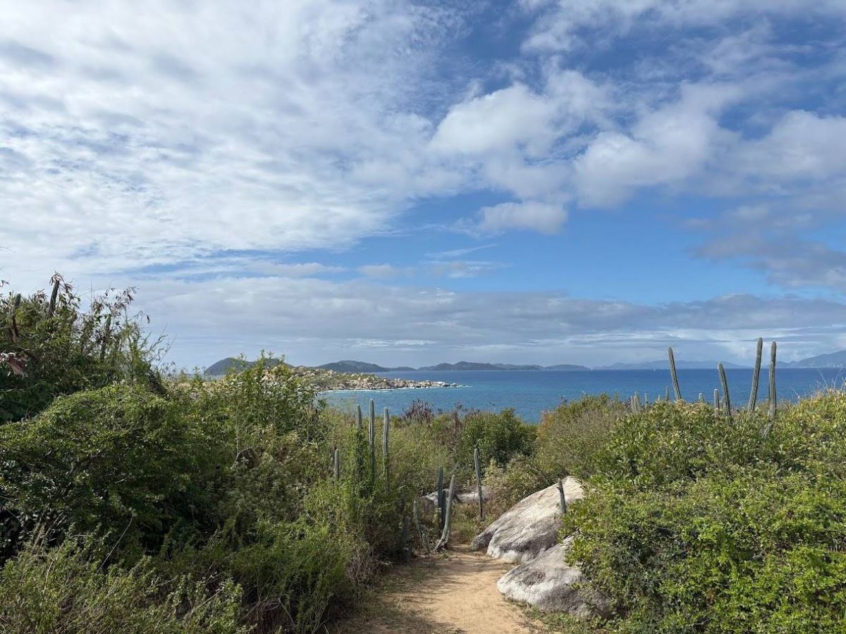 Ausflugsfoto - in Road Town - Tortola - Karibik - Kreuzfahrt mit AIDAsol - 2026
