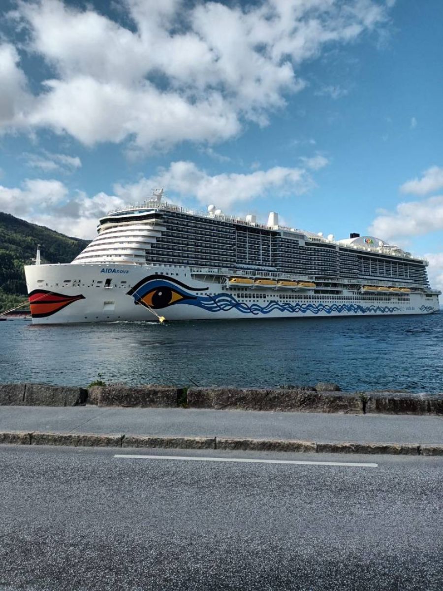 Kabinenfoto - auf AIDAnova - Innenkabine - Nummer 15147 - Kreuzfahrt Nordeuropa - 2025