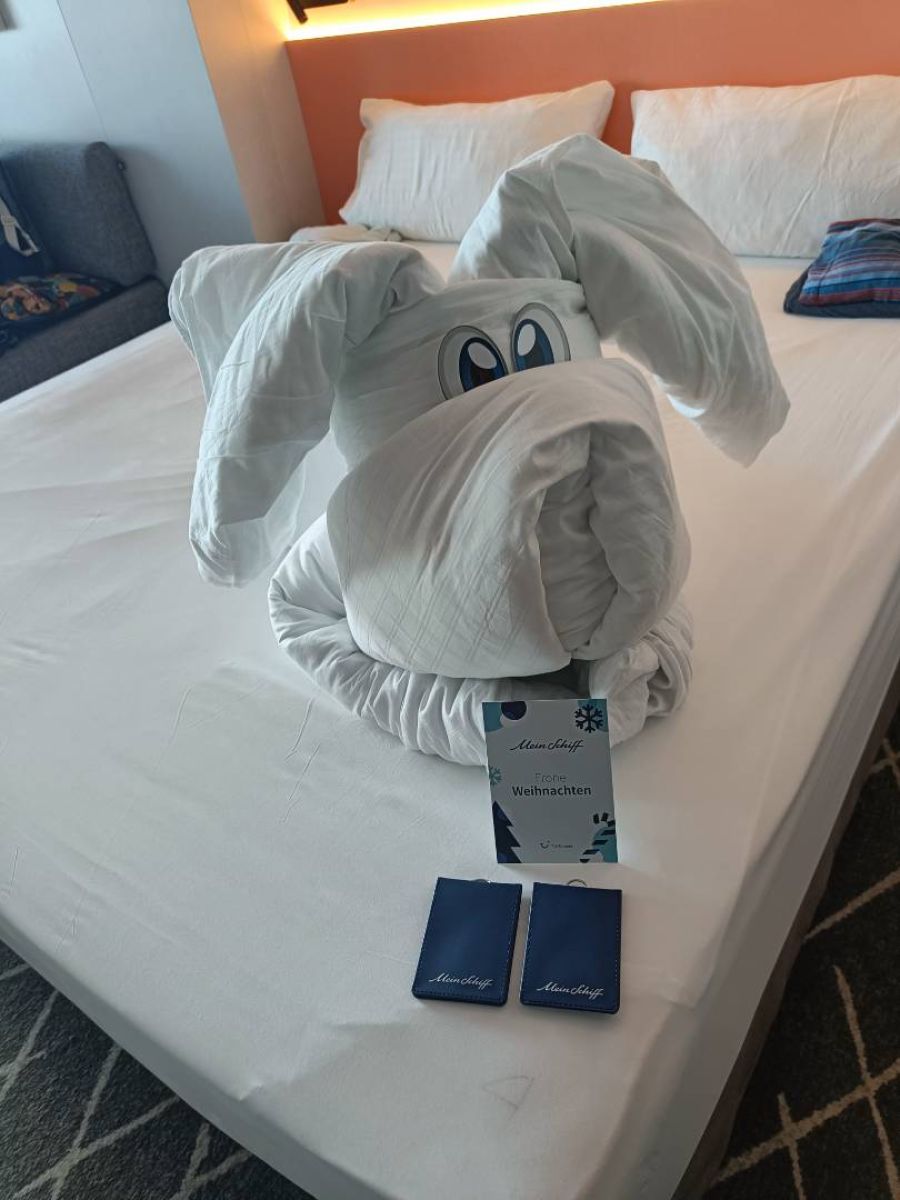 Kabinenfoto - auf Mein Schiff Relax - Balkonkabine - Nummer 8048 - Kreuzfahrt Kanaren - 2025 - Bild 2